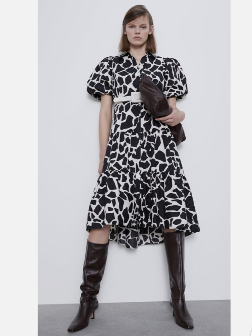 Zara Animal Print Dress